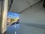 Immagine 11