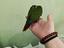 Immagine 3
