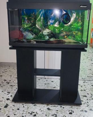 Acquario Advance 80 (80x30) con mobile e accessori