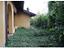 Immagine 15