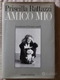 Priscilla Rattazzi - Amico mio (Fabbri Editori) -