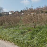 Terreno agricolo Bra