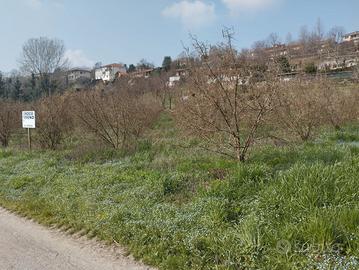Terreno agricolo Bra