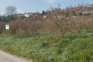 Terreno agricolo Bra