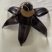 Coppia due lampadari etnici