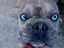 Immagine 1