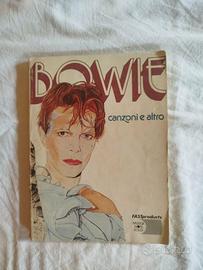 Bowie, canzoni e altro, Fastproducts