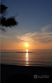 OSS. operatore sanitario