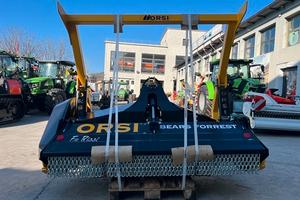 Trincia forestale orsi bears-forrest 210