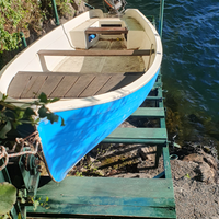 Barca da pesca Autosvuotante