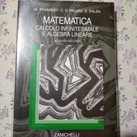 Bramanti Pagani Salsa Matematica