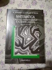 Bramanti Pagani Salsa Matematica