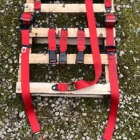 Cinte rosse, cinture di sicurezza