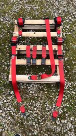 Cinte rosse, cinture di sicurezza