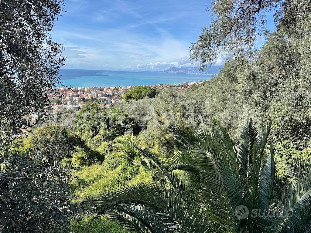 Terreno di 6000 m² a Bordighera - Vista 2
