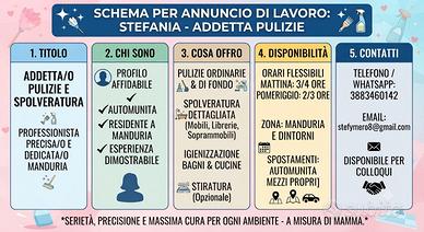 Lavoro come pulizie domestiche