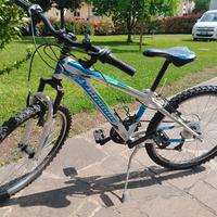 Bicicletta 24' bambino 