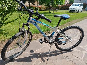 Bicicletta 24' bambino 