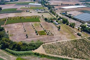 B.go Montello - Terreno 6 HA con pozzo | TR280