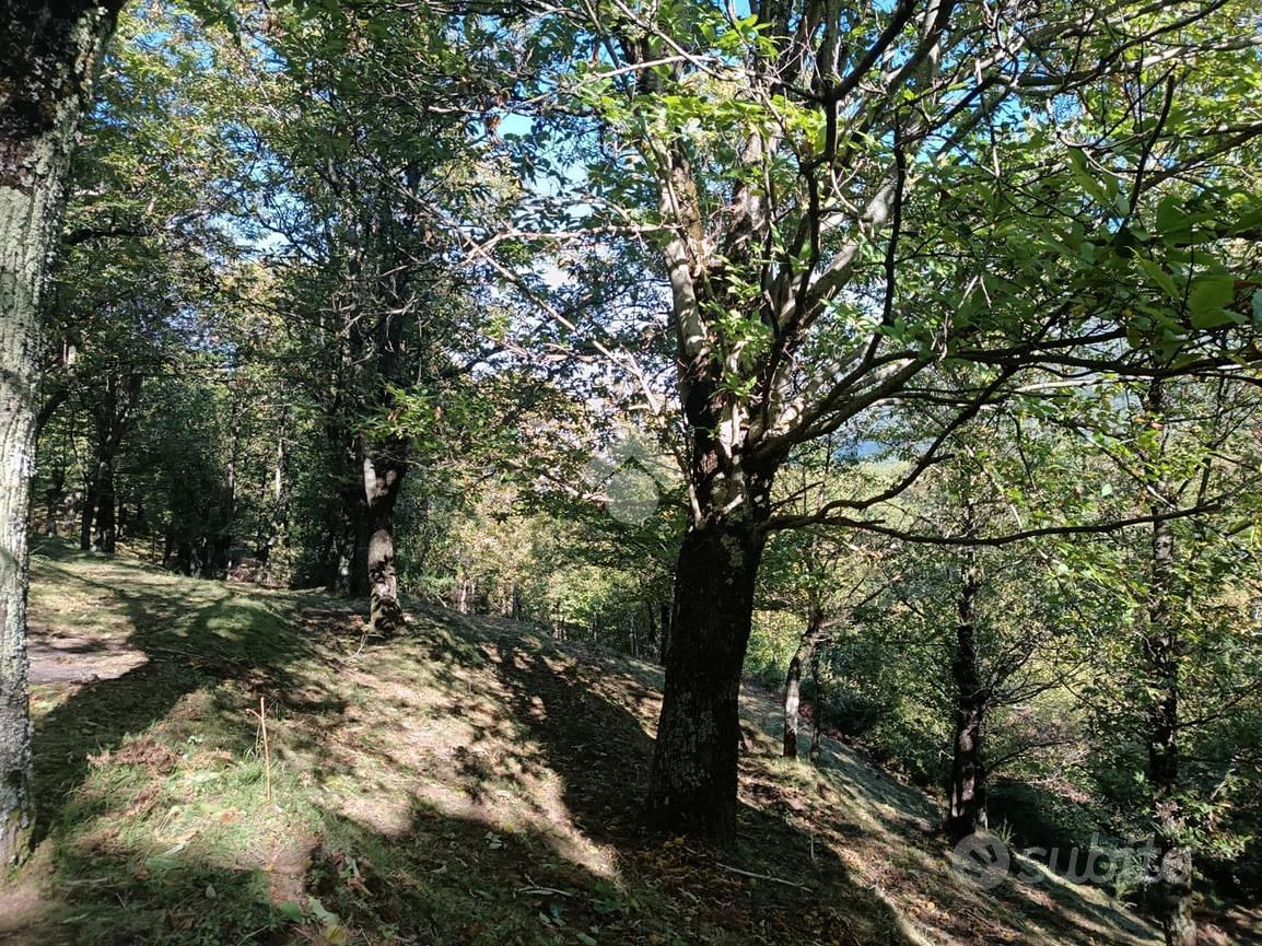 TER. AGRICOLO A SERINO - Vista 6