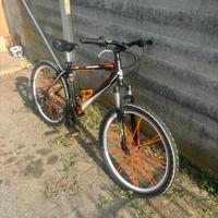 Bici wheliee bike