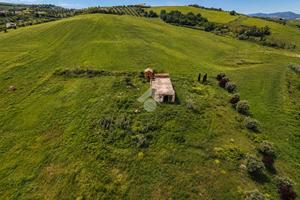 TERRENO A NOTARESCO