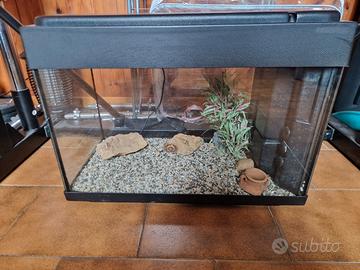 acquario