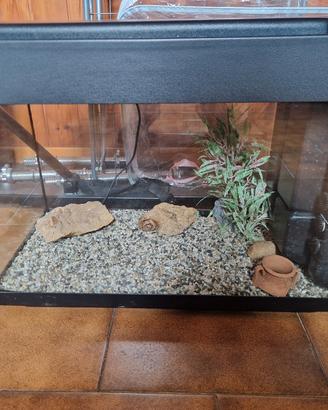 acquario