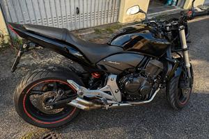 hornet 600 2011