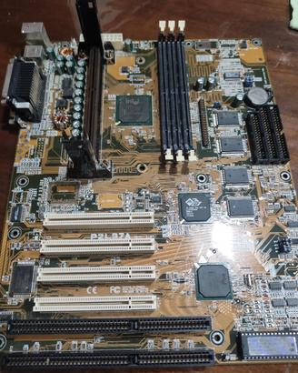 scheda madre Asus P2L97A