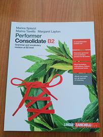 Performer Consolidate B2