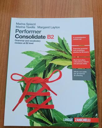 Performer Consolidate B2