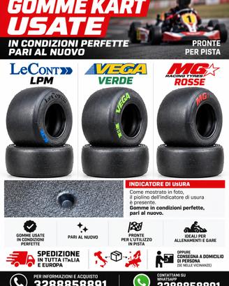 Gomme Usate Kart LECONT-VEGA-MG