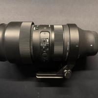 Sigma 100-400 Sony E-Mount