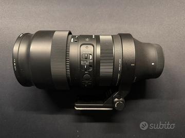 Sigma 100-400 Sony E-Mount