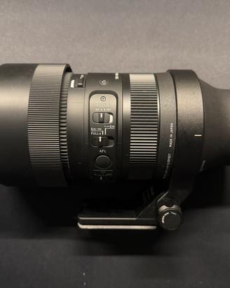 Sigma 100-400 Sony E-Mount