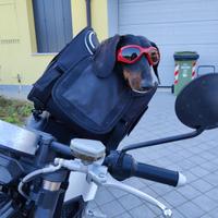 Bagster Puppy - Trasportino Cani per Moto