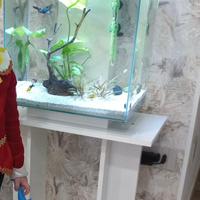 Acquario moderno tropicale 60 litri con luce led