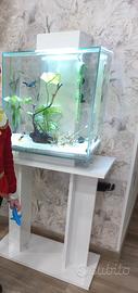 Acquario moderno tropicale 60 litri con luce led