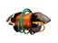Immagine 1