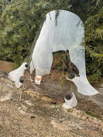 Parabrezza Isotta Piaggio Beverly