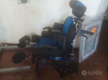 Sedia a rotelle 