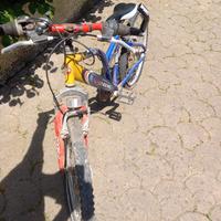 Bicicletta