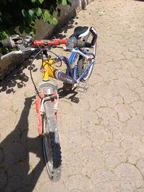 Bicicletta
