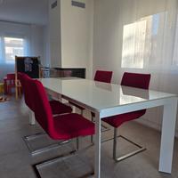 sedie Calligaris