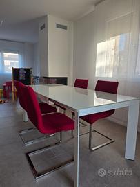 sedie Calligaris
