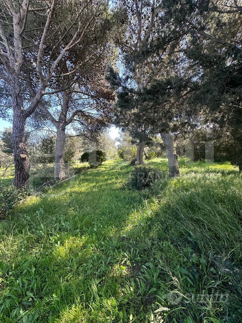 Terreno Agricolo Ostuni [Cod. rif 3299889VCG] - Vista 3