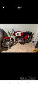 MV Agusta Altro modello - 1963