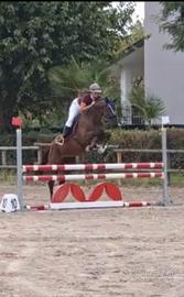 Cavalla sportiva