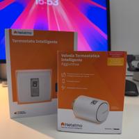 Termostato intelligente e valvola termostatica